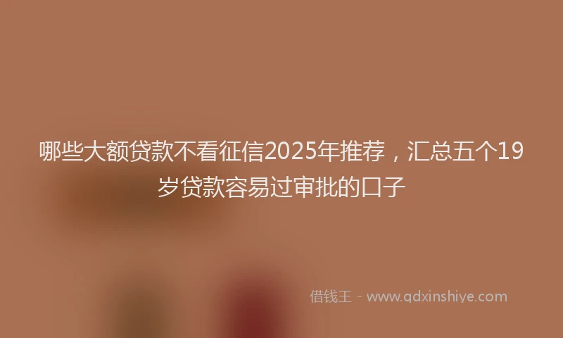 哪些大额贷款不看征信2025年推荐，汇总五个19岁贷款容易过审批的口子