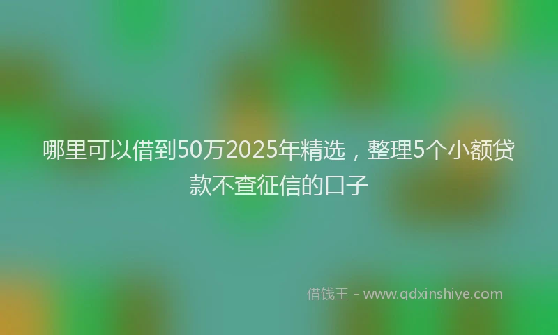 哪里可以借到50万2025年精选，整理5个小额贷款不查征信的口子
