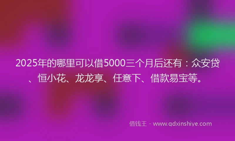 2025年的哪里可以借5000三个月后还有：众安贷、恒小花、龙龙享、任意下、借款易宝等。