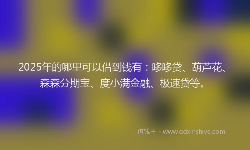 2025年的哪里可以借到钱有：哆哆贷、葫芦花、森森分期宝、度小满金融、极速贷等。