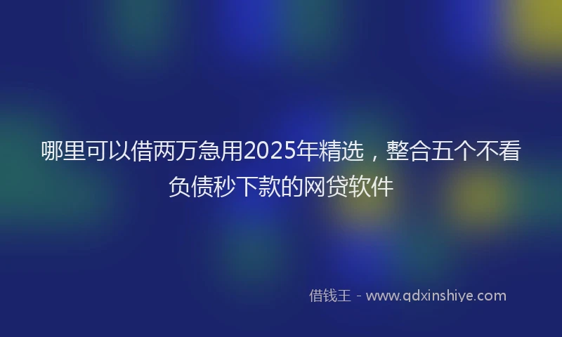 哪里可以借两万急用2025年精选，整合五个不看负债秒下款的网贷软件
