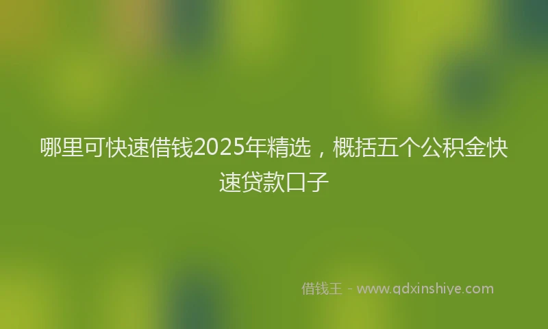 哪里可快速借钱2025年精选，概括五个公积金快速贷款口子