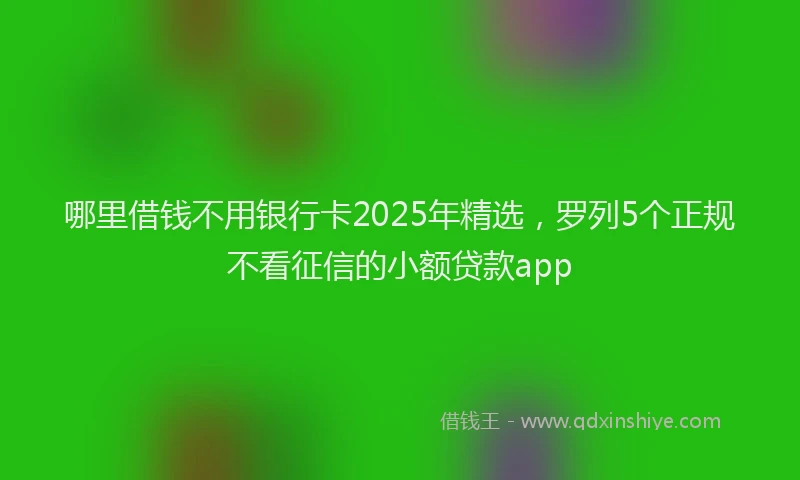 哪里借钱不用银行卡2025年精选，罗列5个正规不看征信的小额贷款app