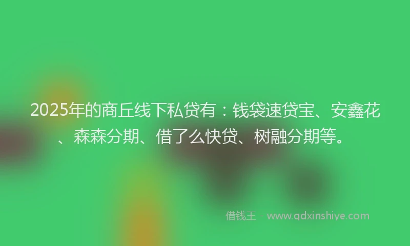 2025年的商丘线下私贷有：钱袋速贷宝、安鑫花、森森分期、借了么快贷、树融分期等。