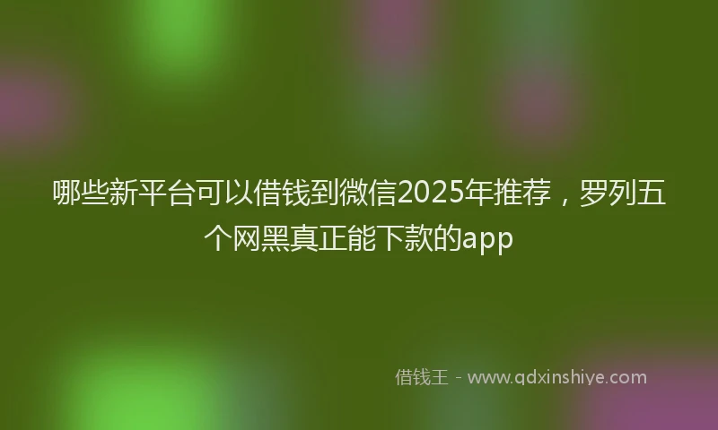 哪些新平台可以借钱到微信2025年推荐，罗列五个网黑真正能下款的app