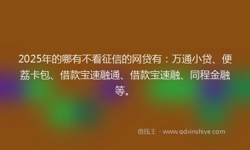 2025年的哪有不看征信的网贷有：万通小贷、便荔卡包、借款宝速融通、借款宝速融、同程金融等。
