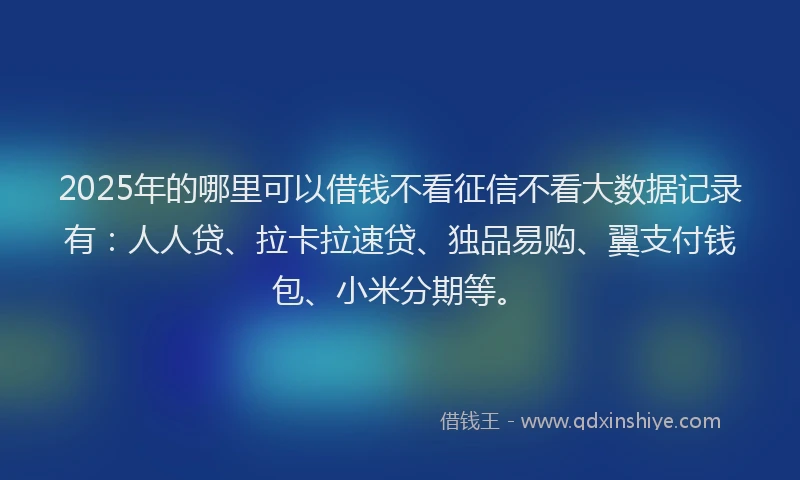 2025年的哪里可以借钱不看征信不看大数据记录有：人人贷、拉卡拉速贷、独品易购、翼支付钱包、小米分期等。