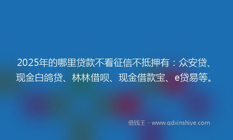 2025年的哪里贷款不看征信不抵押有：众安贷、现金白鸽贷、林林借呗、现金借款宝、e贷易等。