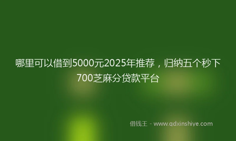 哪里可以借到5000元2025年推荐，归纳五个秒下700芝麻分贷款平台