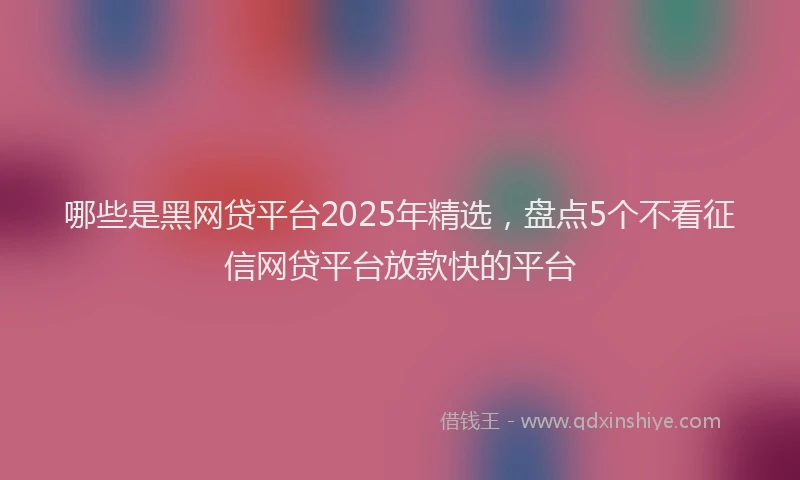 哪些是黑网贷平台2025年精选，盘点5个不看征信网贷平台放款快的平台