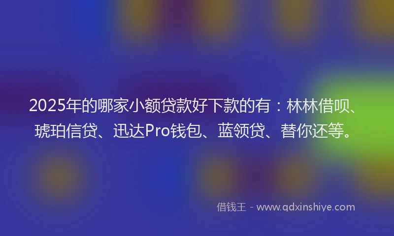 2025年的哪家小额贷款好下款的有：林林借呗、琥珀信贷、迅达Pro钱包、蓝领贷、替你还等。