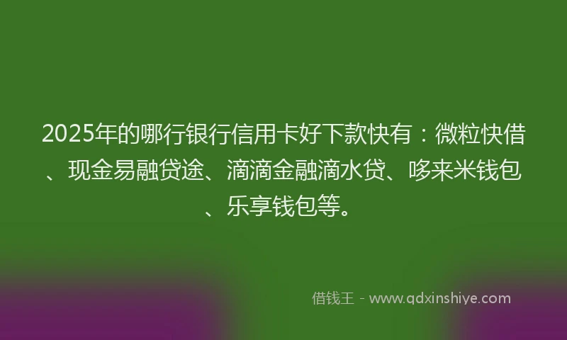 2025年的哪行银行信用卡好下款快有：微粒快借、现金易融贷途、滴滴金融滴水贷、哆来米钱包、乐享钱包等。