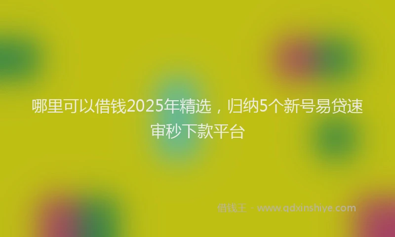 哪里可以借钱2025年精选，归纳5个新号易贷速审秒下款平台