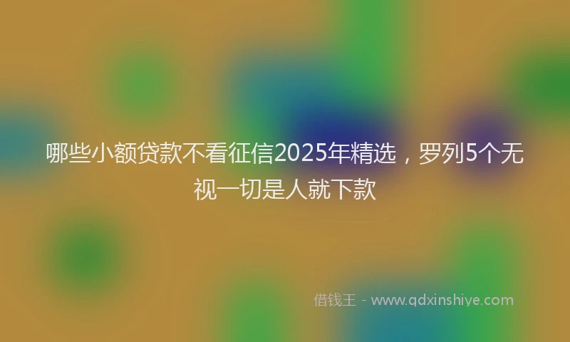 哪些小额贷款不看征信2025年精选，罗列5个无视一切是人就下款