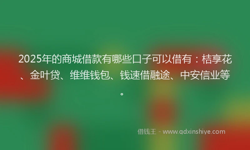 2025年的商城借款有哪些口子可以借有：桔享花、金叶贷、维维钱包、钱速借融途、中安信业等。