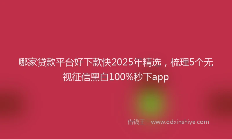 哪家贷款平台好下款快2025年精选，梳理5个无视征信黑白100%秒下app