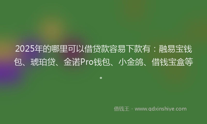 2025年的哪里可以借贷款容易下款有：融易宝钱包、琥珀贷、金诺Pro钱包、小金鸽、借钱宝盒等。