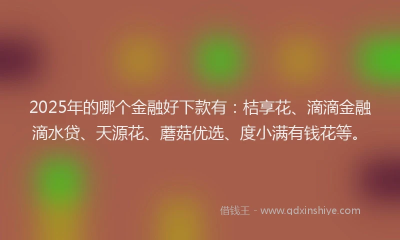 2025年的哪个金融好下款有：桔享花、滴滴金融滴水贷、天源花、蘑菇优选、度小满有钱花等。