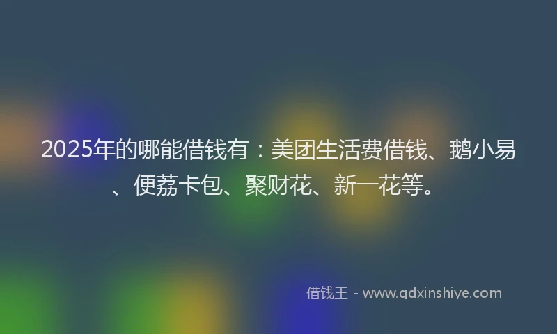 2025年的哪能借钱有：美团生活费借钱、鹅小易、便荔卡包、聚财花、新一花等。