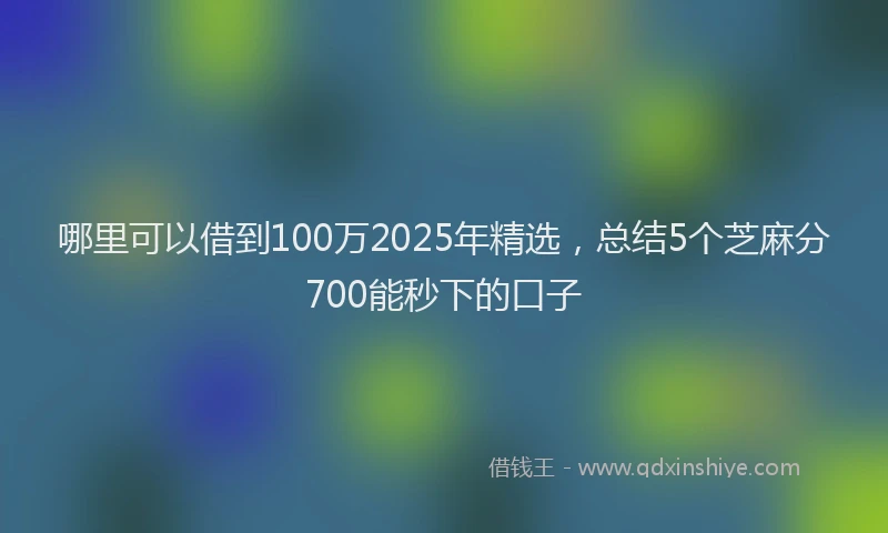 哪里可以借到100万2025年精选，总结5个芝麻分700能秒下的口子