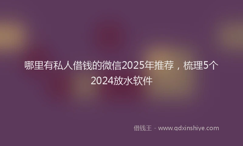 哪里有私人借钱的微信2025年推荐，梳理5个2024放水软件
