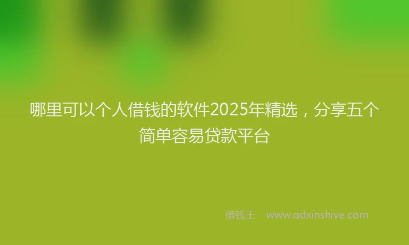 哪里可以个人借钱的软件2025年精选，分享五个简单容易贷款平台