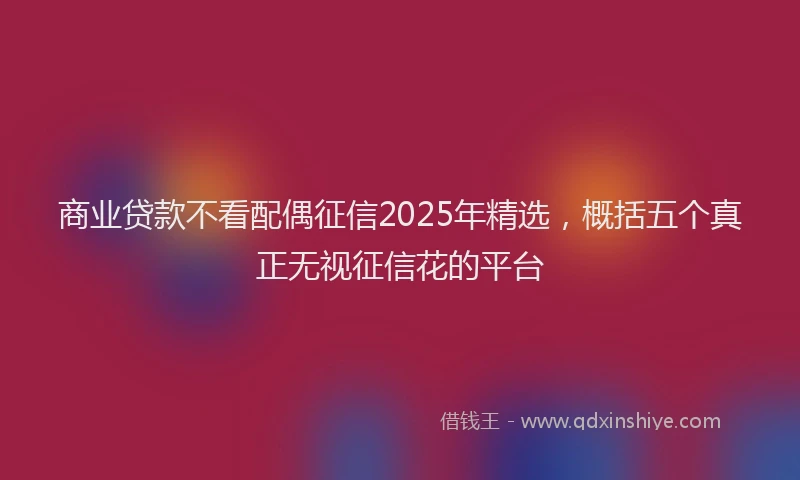 商业贷款不看配偶征信2025年精选，概括五个真正无视征信花的平台