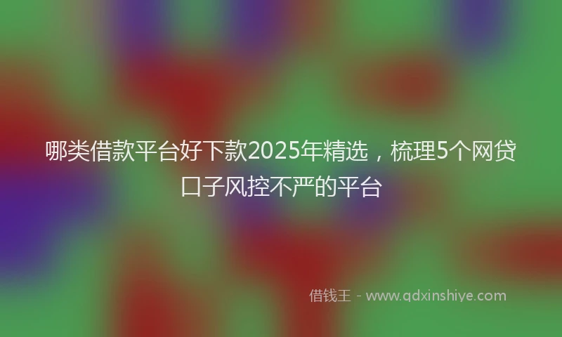 哪类借款平台好下款2025年精选，梳理5个网贷口子风控不严的平台