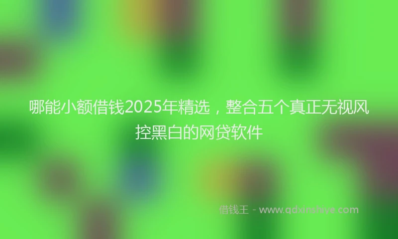 哪能小额借钱2025年精选，整合五个真正无视风控黑白的网贷软件