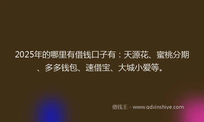 2025年的哪里有借钱口子有：天源花、蜜桃分期、多多钱包、速借宝、大城小爱等。