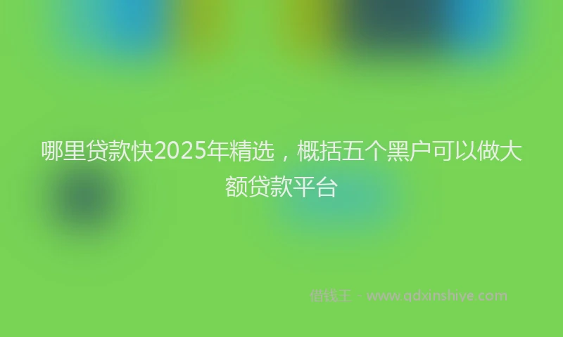 哪里贷款快2025年精选，概括五个黑户可以做大额贷款平台