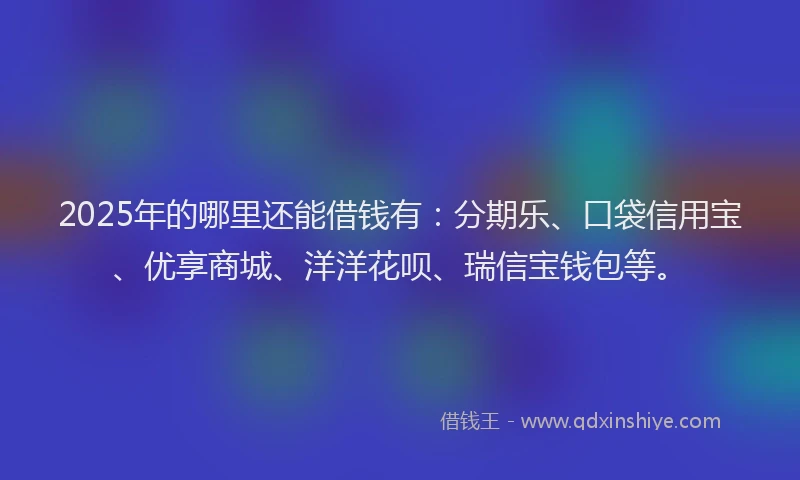 2025年的哪里还能借钱有：分期乐、口袋信用宝、优享商城、洋洋花呗、瑞信宝钱包等。