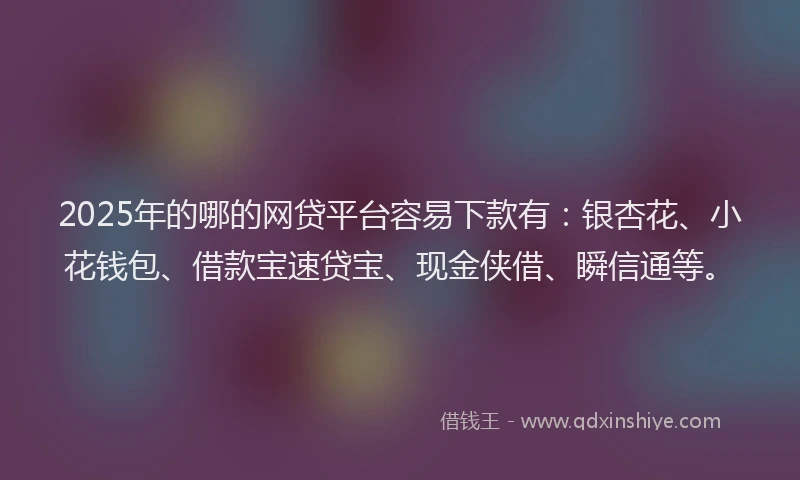 2025年的哪的网贷平台容易下款有：银杏花、小花钱包、借款宝速贷宝、现金侠借、瞬信通等。