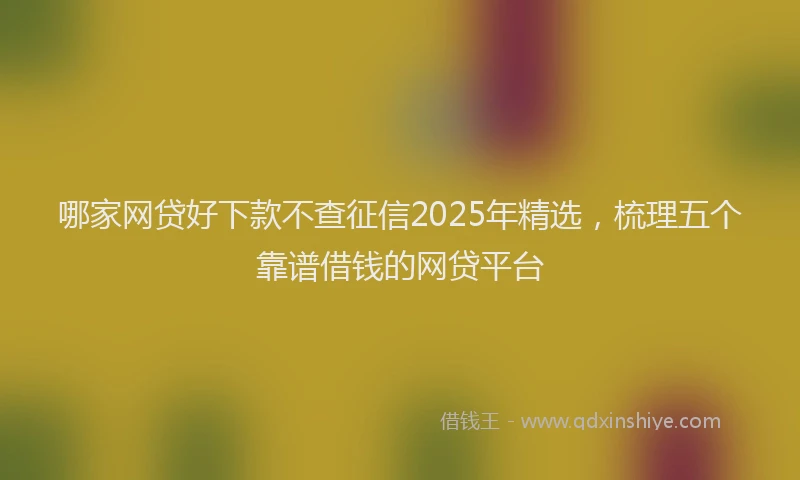 哪家网贷好下款不查征信2025年精选,梳理五个靠谱借钱的网贷平台