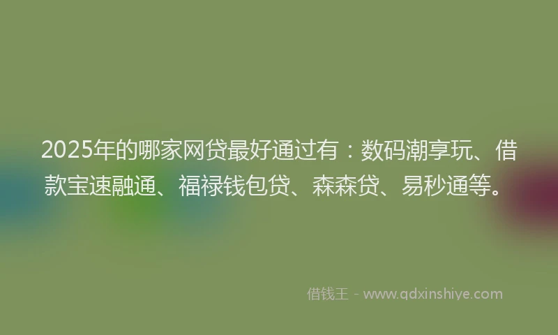 2025年的哪家网贷最好通过有：数码潮享玩、借款宝速融通、福禄钱包贷、森森贷、易秒通等。