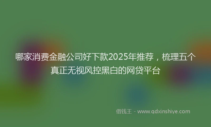 哪家消费金融公司好下款2025年推荐，梳理五个真正无视风控黑白的网贷平台
