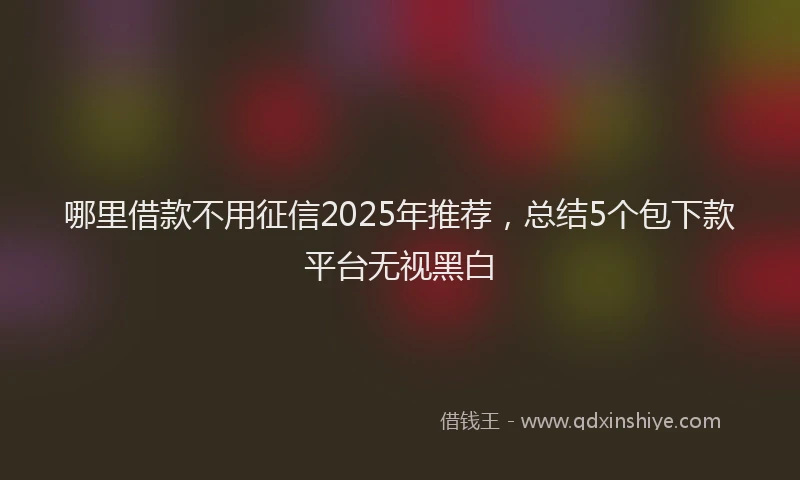 哪里借款不用征信2025年推荐，总结5个包下款平台无视黑白