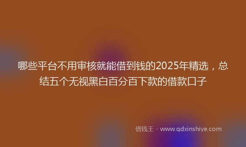 哪些平台不用审核就能借到钱的2025年精选，总结五个无视黑白百分百下款的借款口子