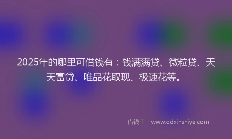 2025年的哪里可借钱有：钱满满贷、微粒贷、天天富贷、唯品花取现、极速花等。