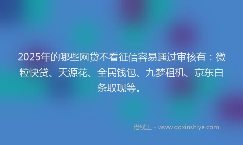 2025年的哪些网贷不看征信容易通过审核有：微粒快贷、天源花、全民钱包、九梦租机、京东白条取现等。