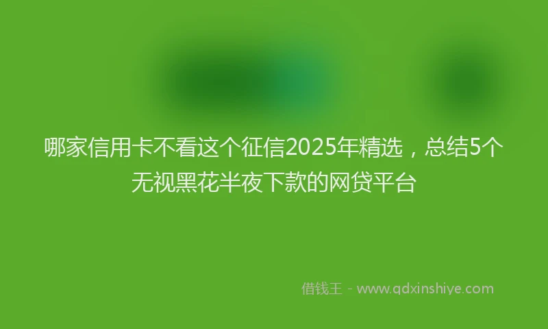 哪家信用卡不看这个征信2025年精选，总结5个无视黑花半夜下款的网贷平台
