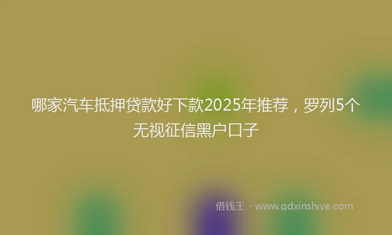 哪家汽车抵押贷款好下款2025年推荐，罗列5个无视征信黑户口子
