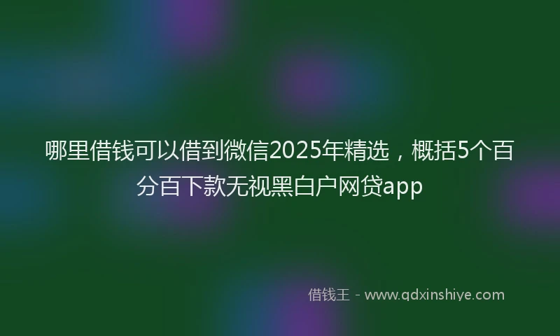哪里借钱可以借到微信2025年精选，概括5个百分百下款无视黑白户网贷app