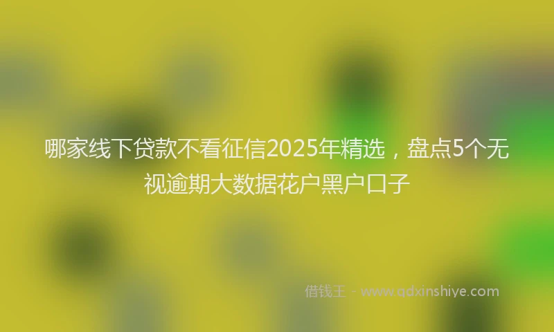 哪家线下贷款不看征信2025年精选，盘点5个无视逾期大数据花户黑户口子