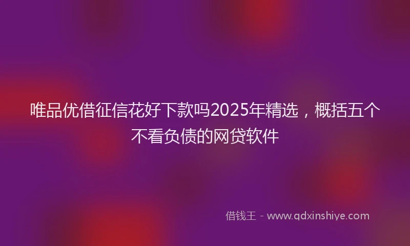 唯品优借征信花好下款吗2025年精选，概括五个不看负债的网贷软件