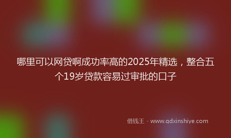 哪里可以网贷啊成功率高的2025年精选，整合五个19岁贷款容易过审批的口子