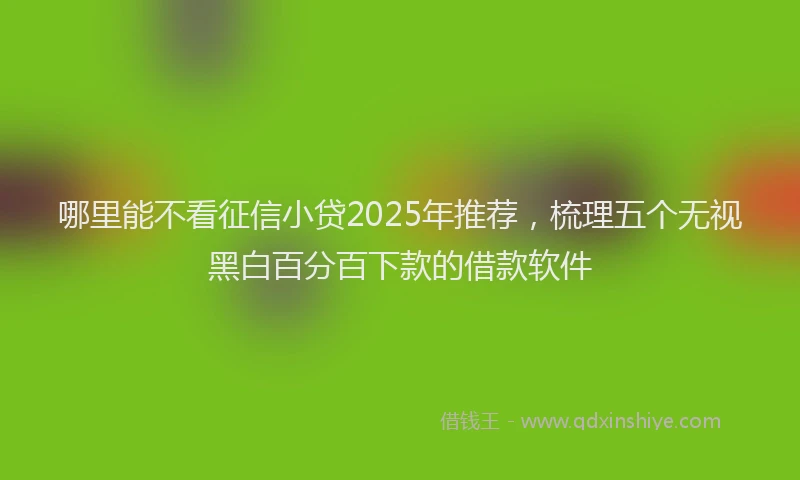 哪里能不看征信小贷2025年推荐，梳理五个无视黑白百分百下款的借款软件