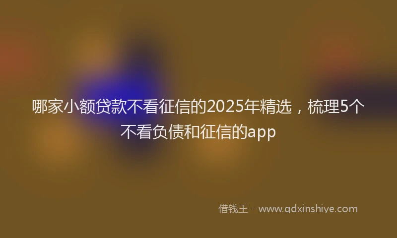 哪家小额贷款不看征信的2025年精选，梳理5个不看负债和征信的app