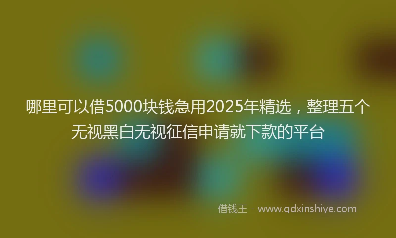 哪里可以借5000块钱急用2025年精选，整理五个无视黑白无视征信申请就下款的平台