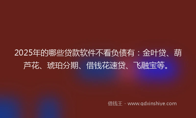 2025年的哪些贷款软件不看负债有：金叶贷、葫芦花、琥珀分期、借钱花速贷、飞融宝等。